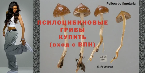 прущие грибы Остров