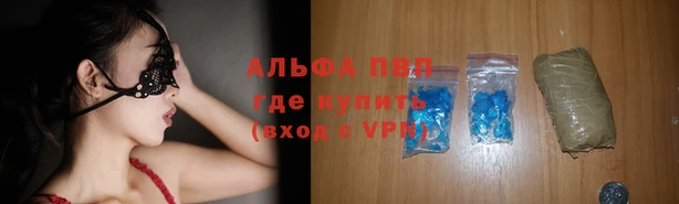 spice Новосибирск