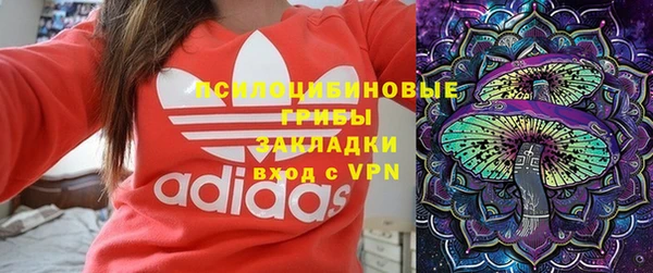 прущие грибы Остров