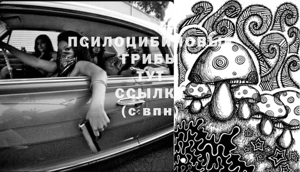 ALPHA-PVP Ессентукская