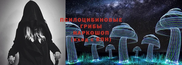 ешки Осинники