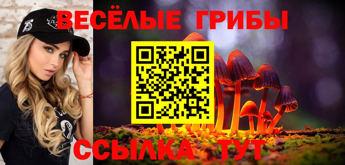 Псилоцибиновые грибы Psilocybe  Галлюциногенные грибы прущие грибы  Вход с VPN  Спасск-Дальний 