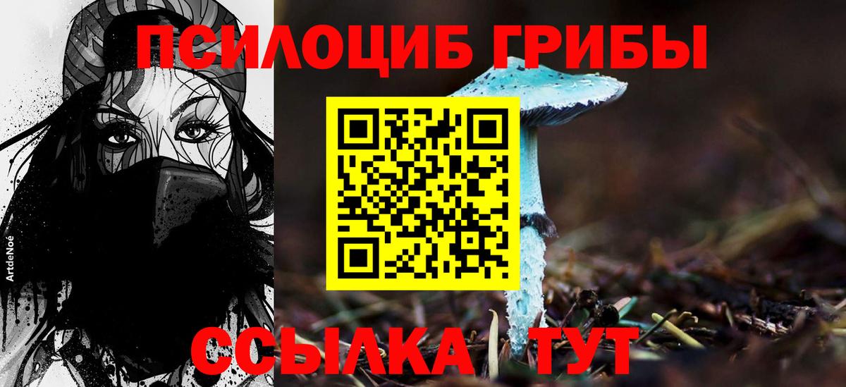 Галлюциногенные грибы Cubensis Спасск-Дальний